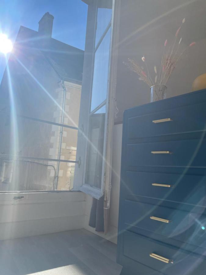 Le Relais Du Petit Lion Apartment Blois Bagian luar foto