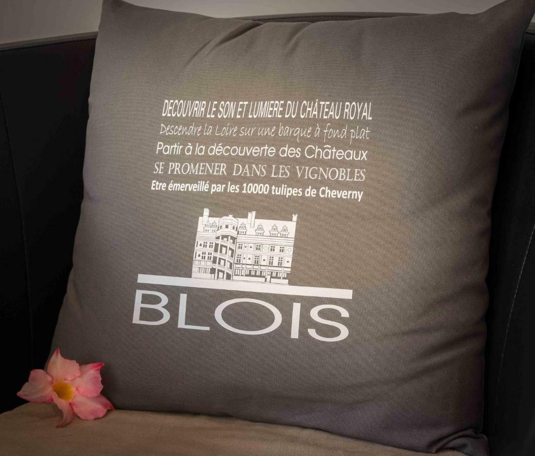Le Relais Du Petit Lion Apartment Blois Bagian luar foto