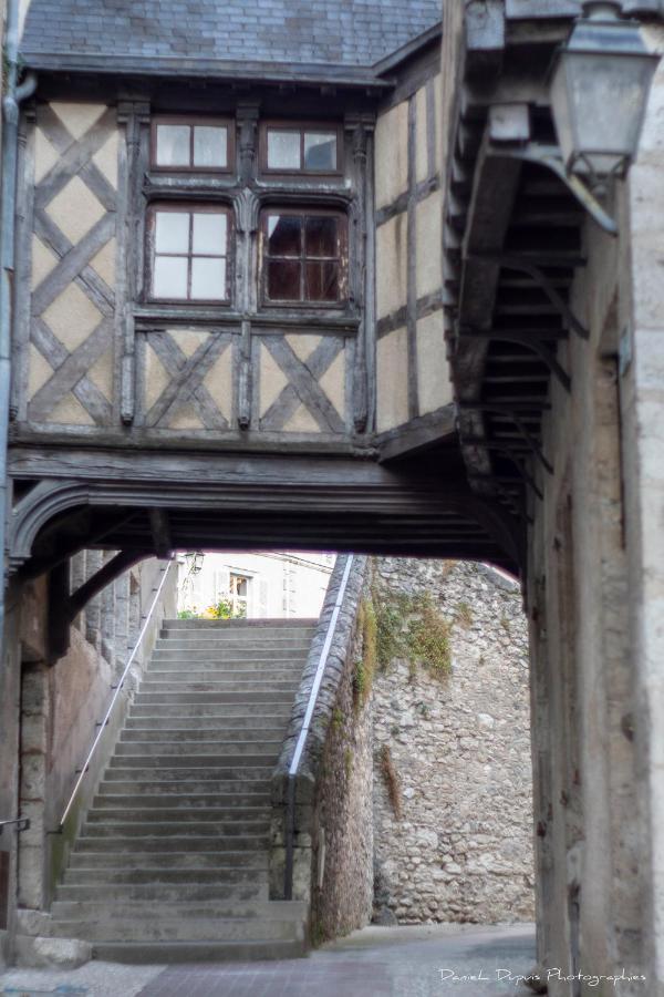 Le Relais Du Petit Lion Apartment Blois Bagian luar foto